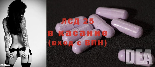 стаф Алексин