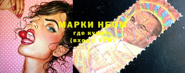 стаф Алексин