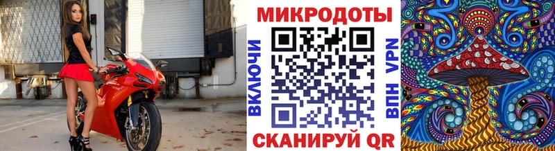 OMG   Николаевск-на-Амуре  Псилоцибиновые грибы Psilocybine cubensis 